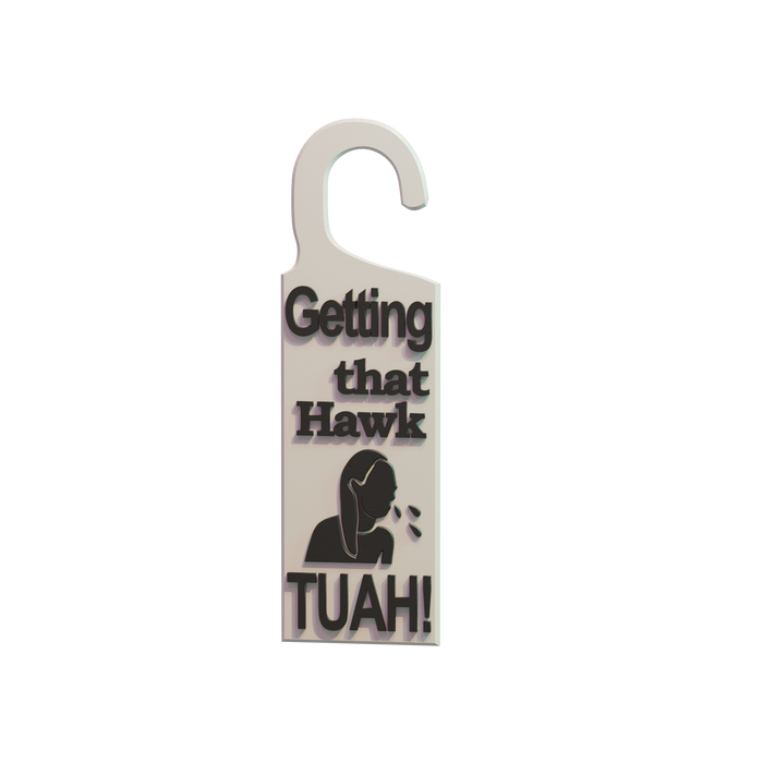 Hawk Tuah Do Not Disturb Sign