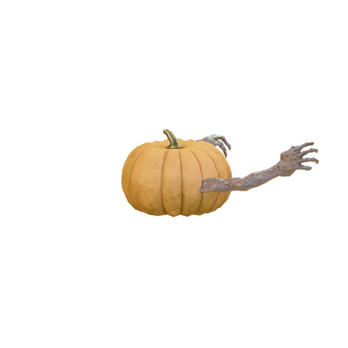 Mr Pumpkin Head Arms 1