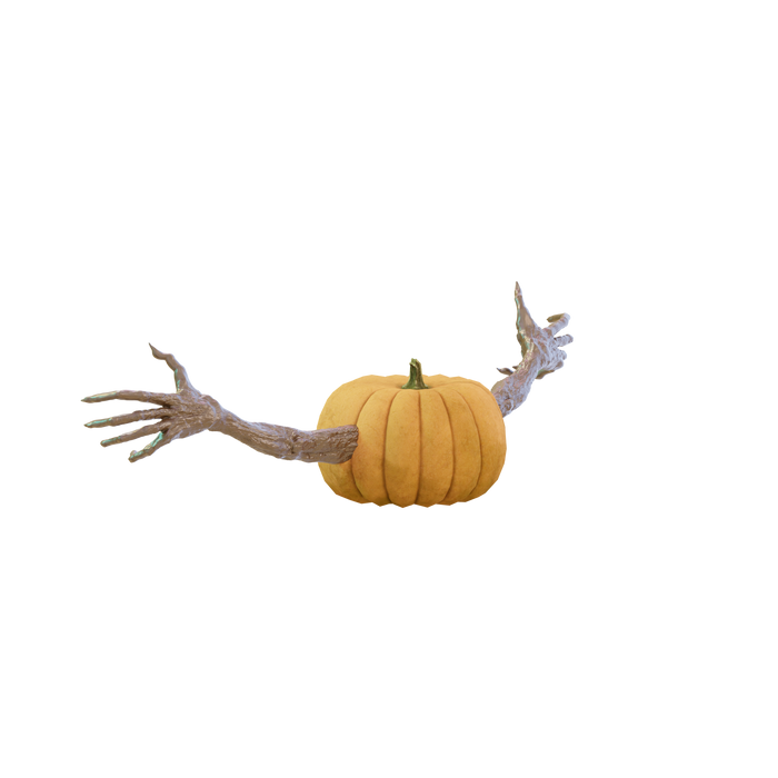 Mr Pumpkin Head Arms 4