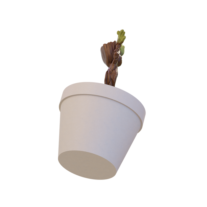 Springy Baby Groot Pot