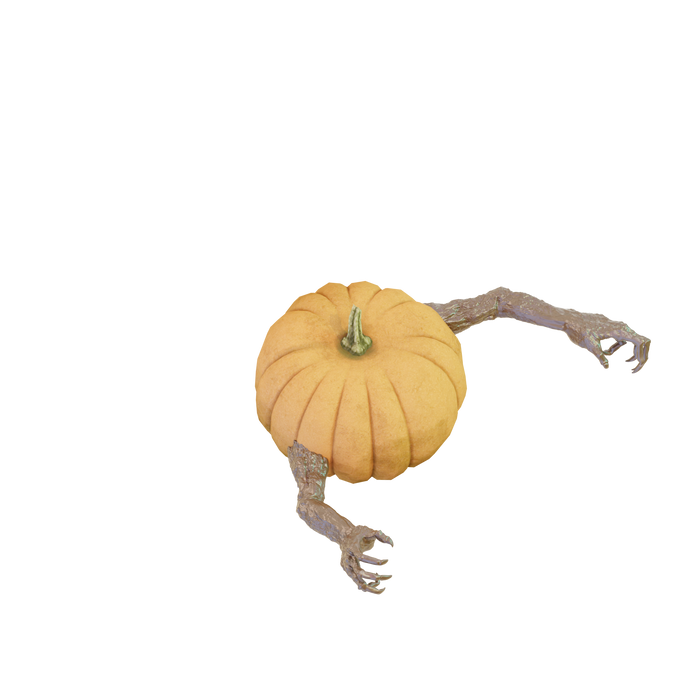 Mr Pumpkin Head Arms 1