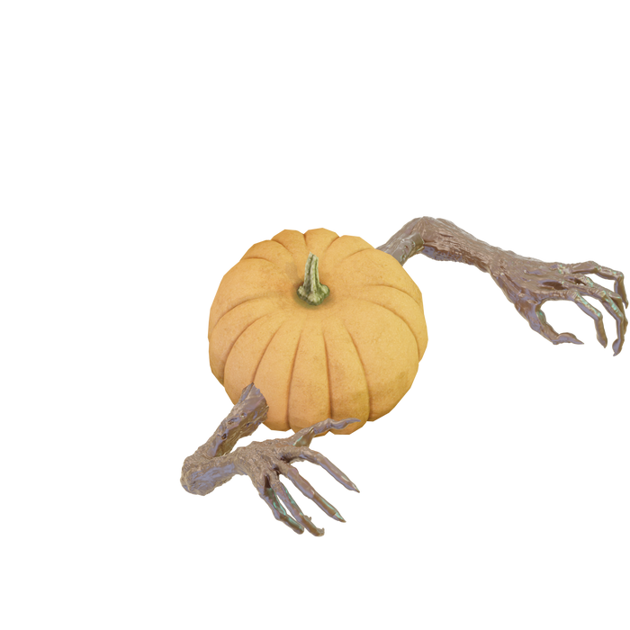 Mr Pumpkin Head Arms 3