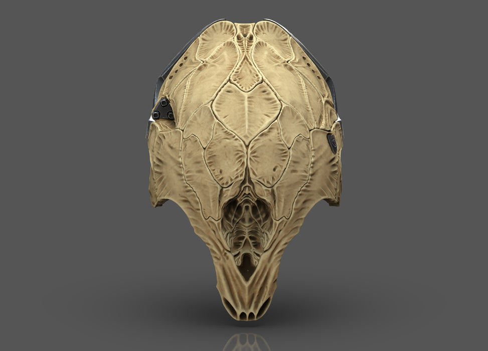 Prey Predator Mask STL